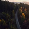 Ein Landschaftsbild des schwedischen Waldes
